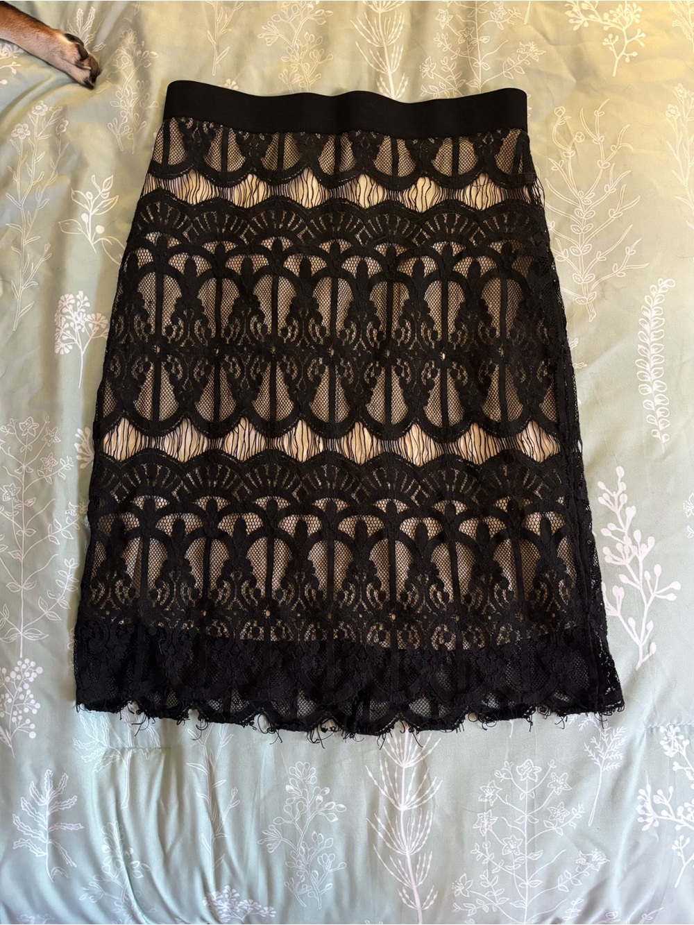 Xhilaration Black Lace Midi Skirt with Nude Lining